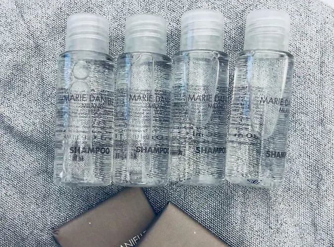 S.apollonia Trastevere *