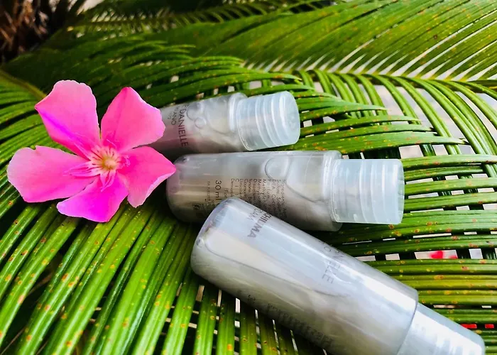 S.apollonia Trastevere